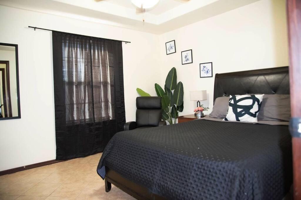 1 Min To University Utrgv 2Bd 2Bt Town Suite 에든버그 외부 사진